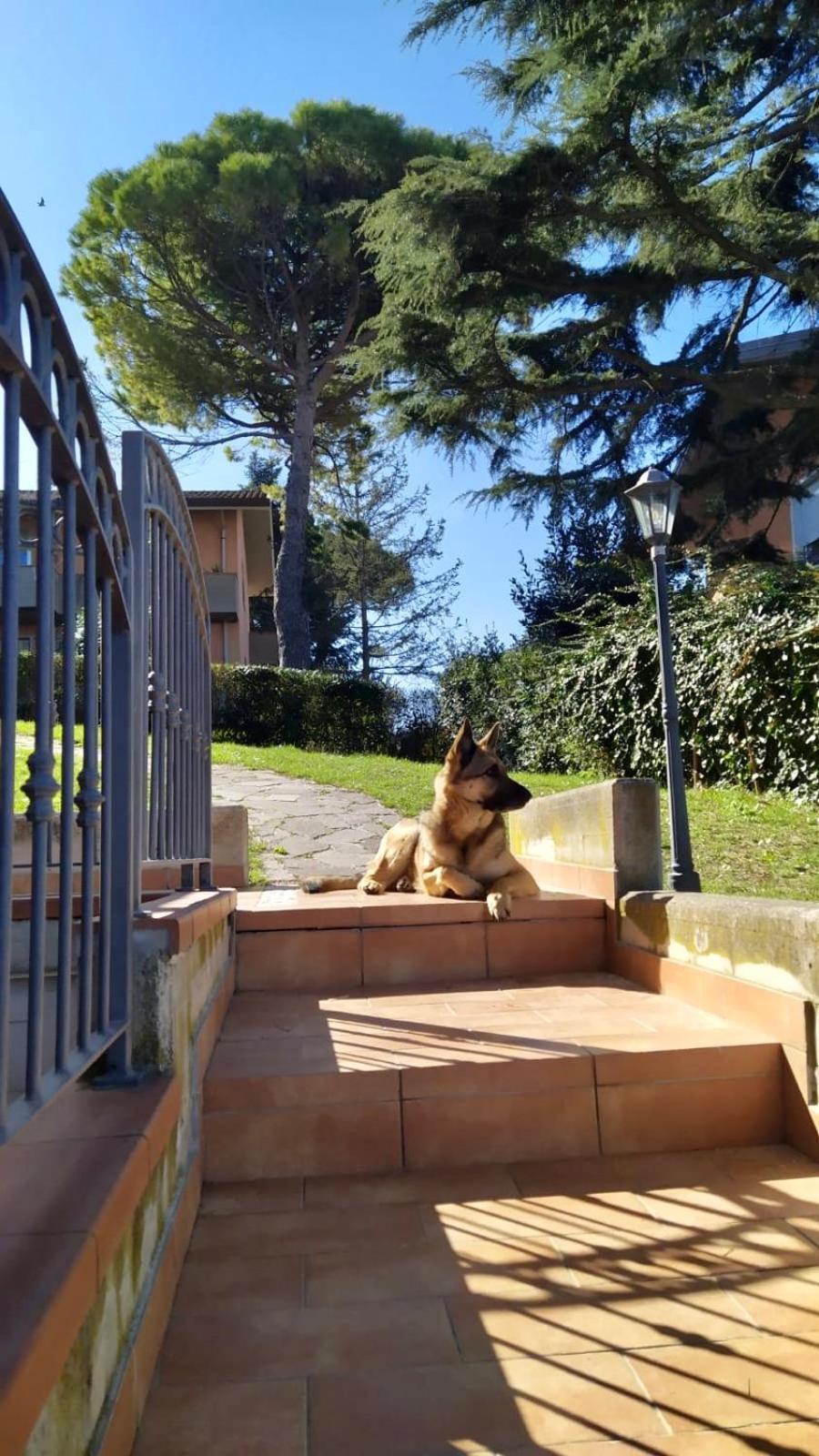Appartamenti Pesaro Mare Ledimar Экстерьер фото